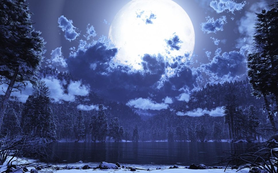 90750__beautiful-winter-and-moonlit-night_p