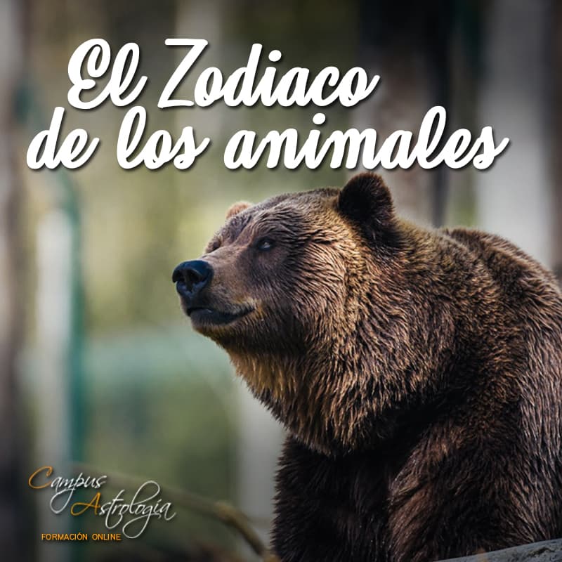 El Zodiaco de Los Animales [Parte I]