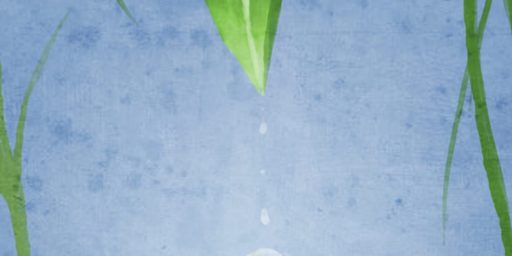 Neptuno trígono Quirón: El Flujo de la Gracia y el Brillo Que Repara el Alma