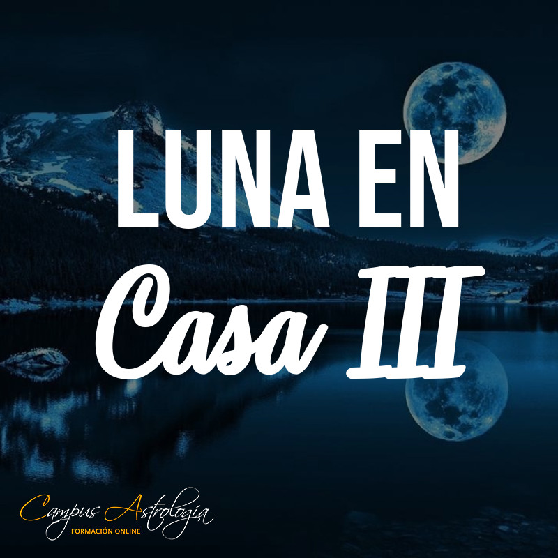 Luna en casa 3: Decir Poco en Muchas Palabras