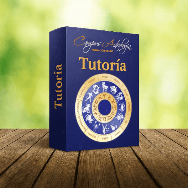 Tutoría o Clase particular