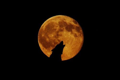 Luna Llena en Leo 2019, Eclipse Lunar y Superluna de Sangre