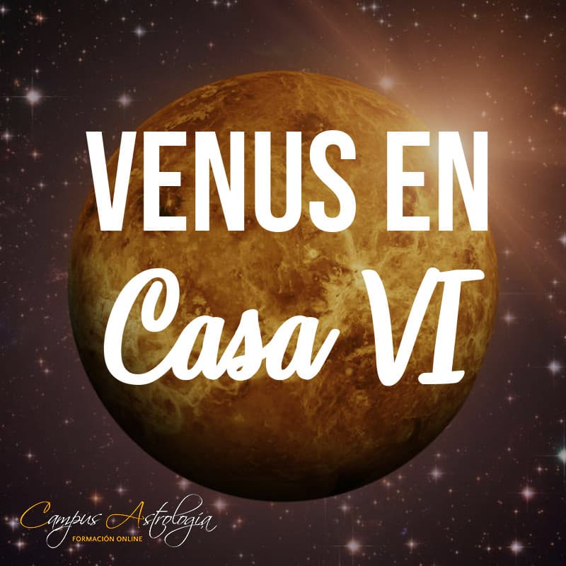 Venus en Casa 6: Un Trabajo que me guste