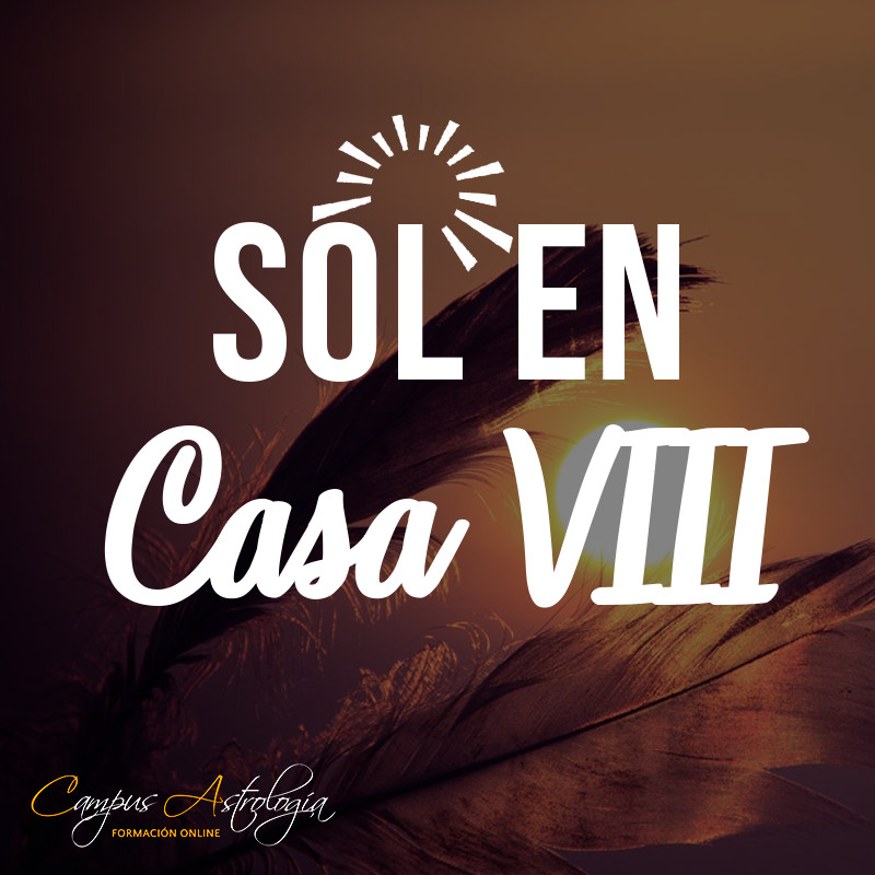 sol en casa 8