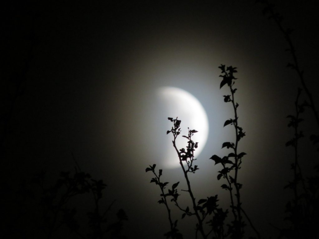 Luna Llena en Capricornio 2019 y Eclipse Lunar