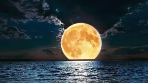 luna llena en piscis