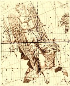 virgo-lamina